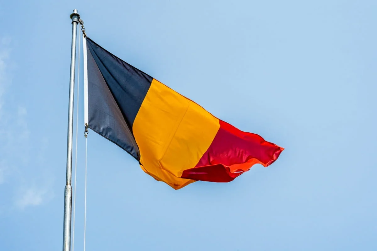 Прапор Румунії у контексті кандидатів на МЗС і Міноборони